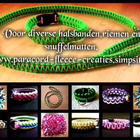 Hondenfoto van Danielle, Kyra*Kaylin*, Djaira en Djaidey