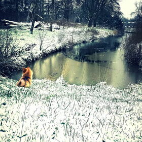 De eerste sneeuwval is ook een feit