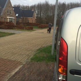 Hondenfoto van Vera met Abby & Cantor !