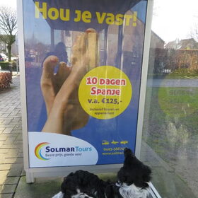 Hondenfoto van Doortje & Tibbe