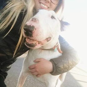 Hondenfoto van Hannah & Bink† en Beertje