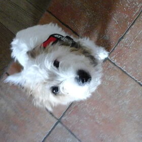 Beau van onze oppas Trudy