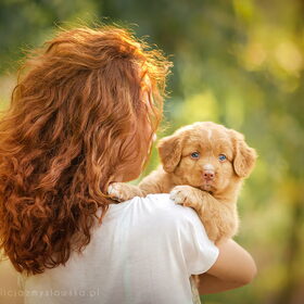 Hondenfoto van Angelique; Bruno, Charlie & Fenna  