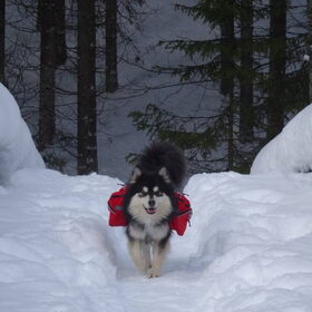 Wintersport