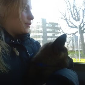 Hondenfoto van Jackie en Kiba:)