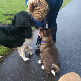 Hondenfoto van Jackie en Kiba:)