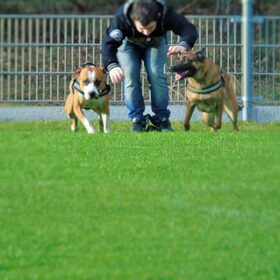 Rennen in 3...2...1!!