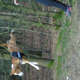 Jump haha :P