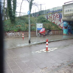 Hondenfoto van Roos,Jeff † en Waldo † en Mootje † 