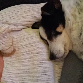 Hondenfoto van Inge, baasje van Sasha en Myra <3