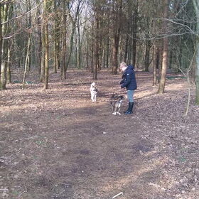 Hondenfoto van Jackie en Kiba:)