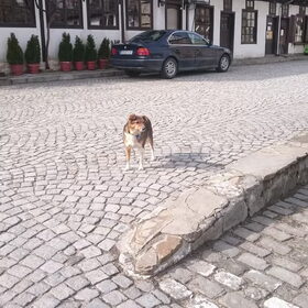 Petertje