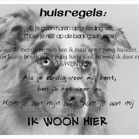 Hondenfoto van Danielle, Kyra*Kaylin*, Djaira en Djaidey