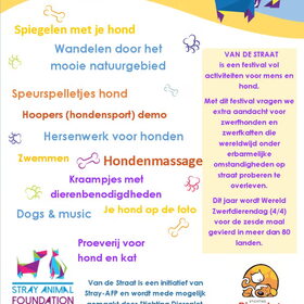 Hondenfoto van Ciska en Spanjaardje Moh (Bambi r.i.p.)