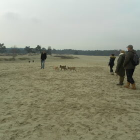 Hondenfoto van Jackie en Kiba:)