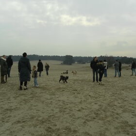 Hondenfoto van Jackie en Kiba:)