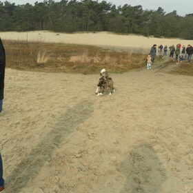 Hondenfoto van Jackie en Kiba:)