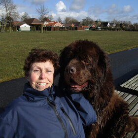 Hondenfoto van Willemijn - baasje van Vika .           Bams  en Ogin   ¥ .