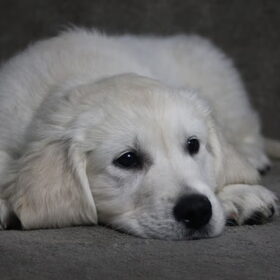 Fotoshoot 20-02-2016