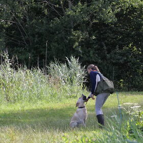 Hondenfoto van ..Nadine&Denzel..