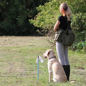 Hondenfoto van ..Nadine&Denzel..