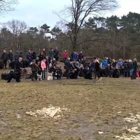 Wandeling voor GGF in Hilversum 20-03-2016