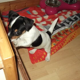 Ondeugend!