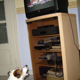 Toen ik nog niet blind was, keek ik altijd TV, met het nodige…