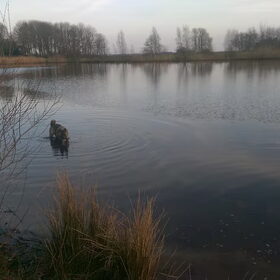 Hondenfoto van Jackie en Kiba:)