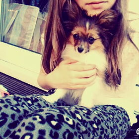 Abby nu!!