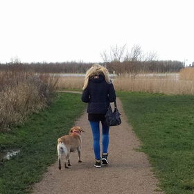 Hondenfoto van laura   Diva&Nova