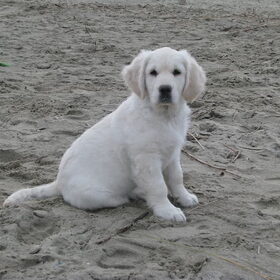 ben al heel groot hoor