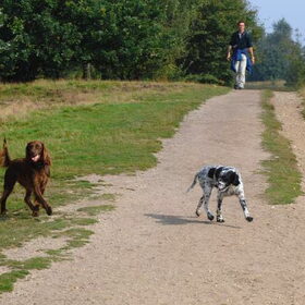Charlie voor het eerst los, spannend