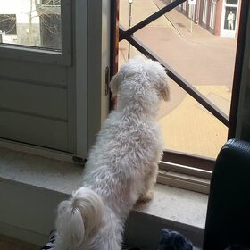 Je hield alles altijd goed in de gaten