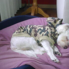 met je (toen) nieuwe camouflage-trui.