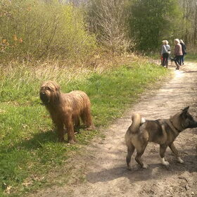 Hondenfoto van Jackie en Kiba:)