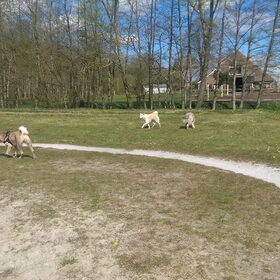 Hondenfoto van Jackie en Kiba:)