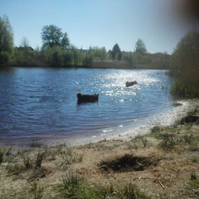 Hondenfoto van Jackie en Kiba:)