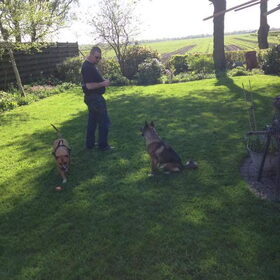 Hondenfoto van Jackie en Kiba:)
