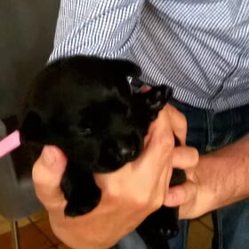Hondenfoto van Jasmijn&.......... &Ginger (R.I.P)