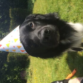 Hiep hiep hoera 1 jaar! :D