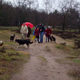 Wandelen met de Aussie vereniging. Heerlijk weer ;)