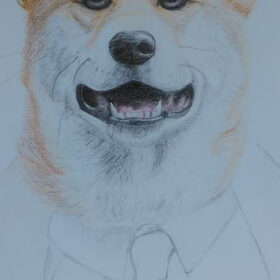 Tekening van een Shiba Inu. De tekening is niet af (zoals te…