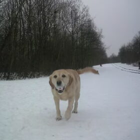15 januari '10.. Eline is dol op sneeuw!