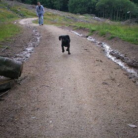 missy lekker aant uitrazen in de ierse bergen na een lekkere…