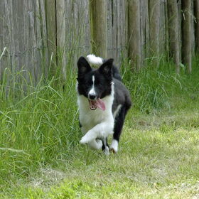 5 maanden oud