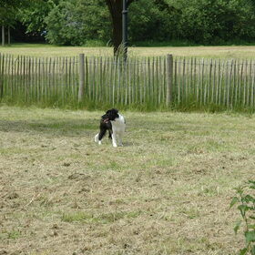 5 maanden oud