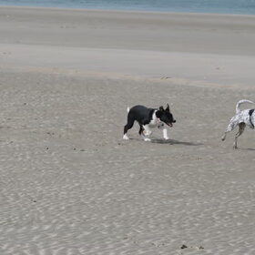 lekker een weekendje aan zee!