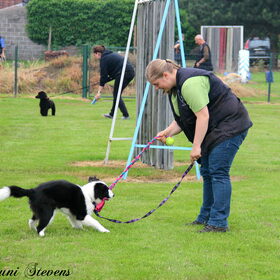 Hondenfoto van Shauni  *Sky~Jinx~Sansa~Hypno*