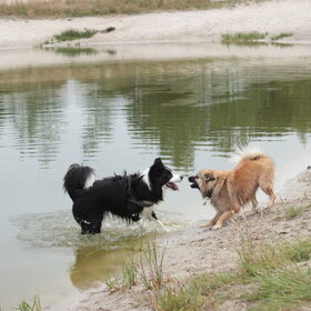 Samen met Mila tijdens de Doggy Days